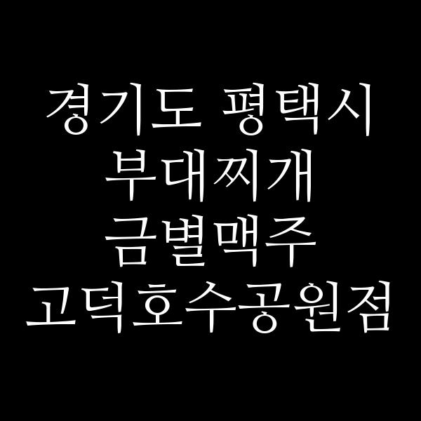 요약 정보 이미지