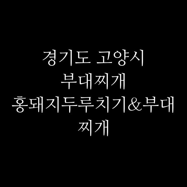 요약 정보 이미지
