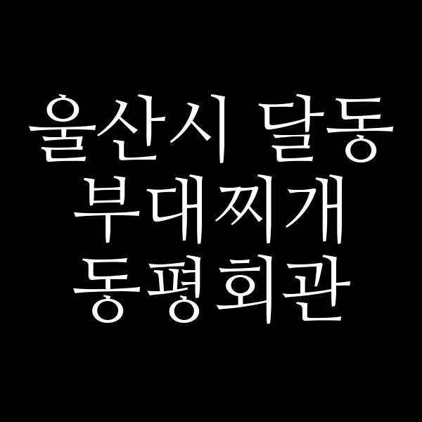 요약 정보 이미지