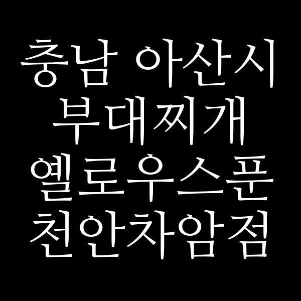 요약 정보 이미지