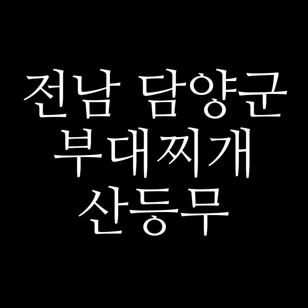 요약 정보 이미지
