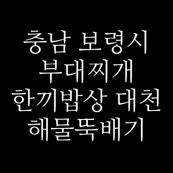 요약 정보 이미지