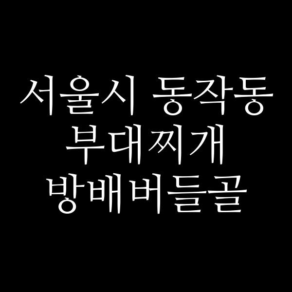 요약 정보 이미지