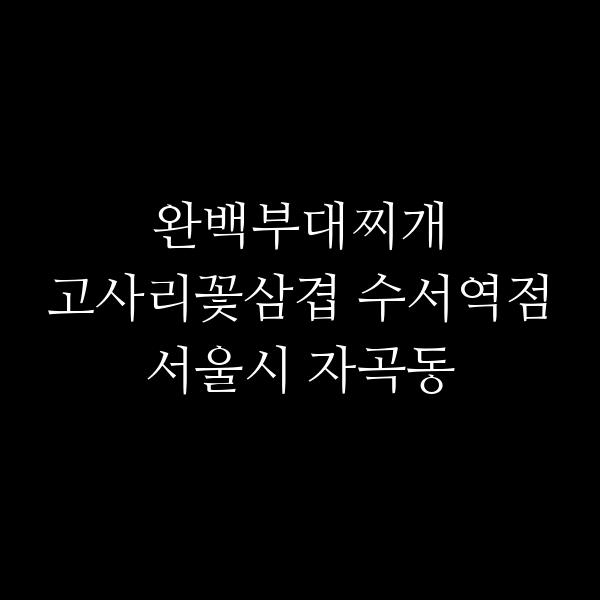 요약 정보 이미지
