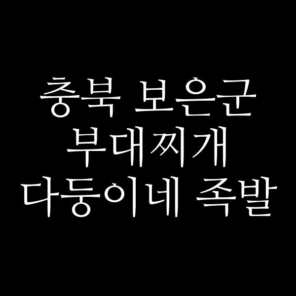 요약 정보 이미지