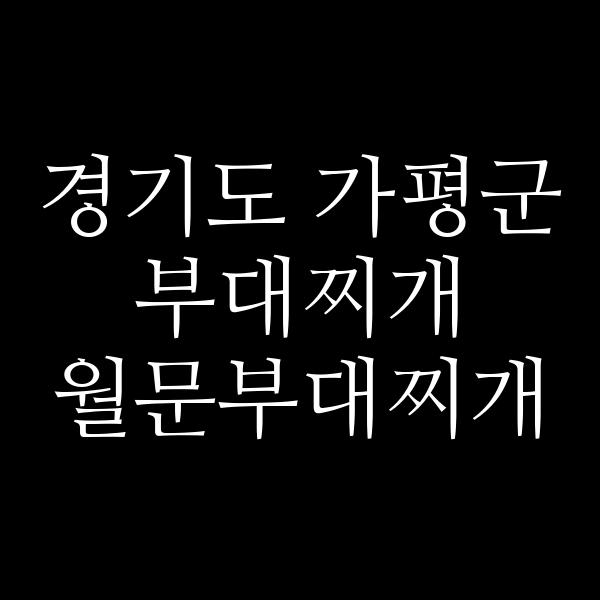 요약 정보 이미지