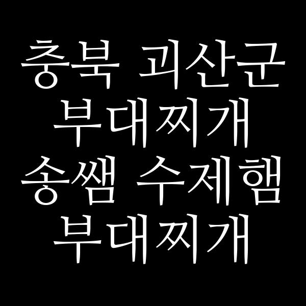 요약 정보 이미지
