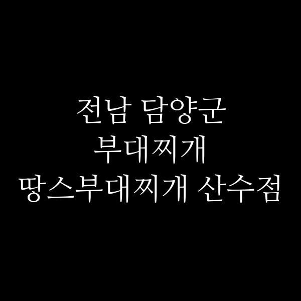 요약 정보 이미지