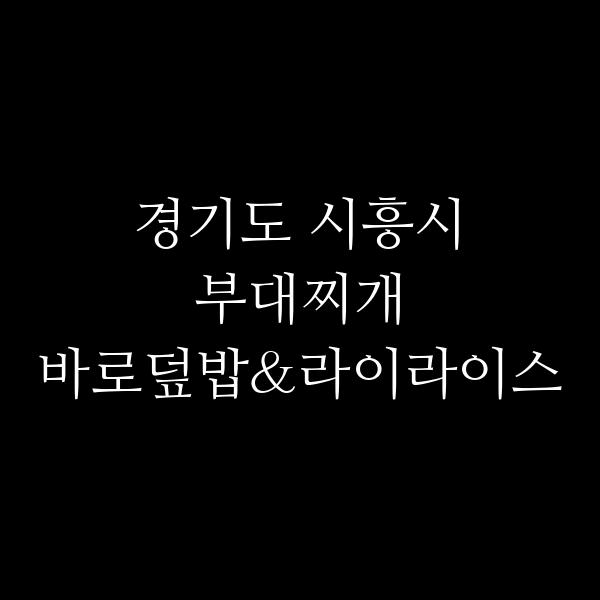 요약 정보 이미지