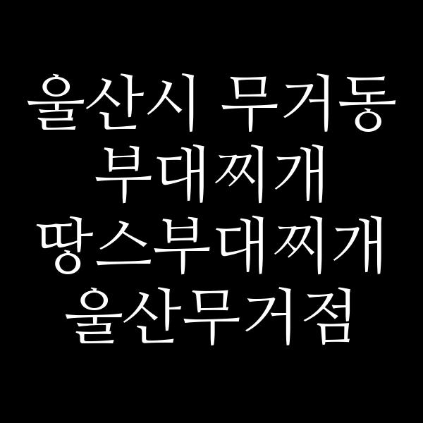 요약 정보 이미지