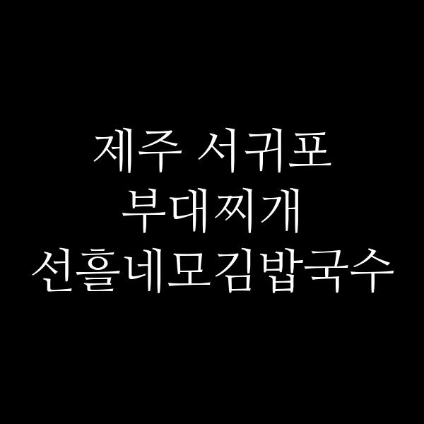 요약 정보 이미지