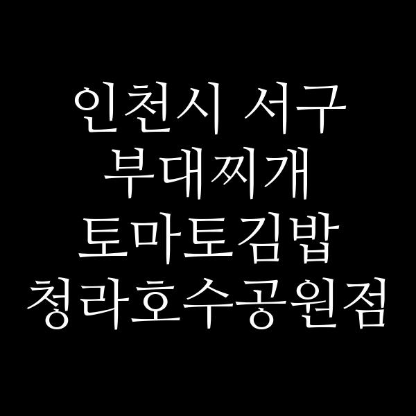 요약 정보 이미지
