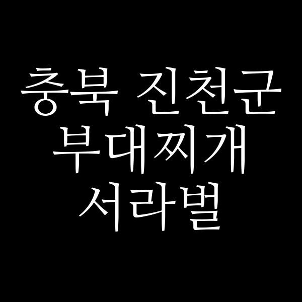 요약 정보 이미지