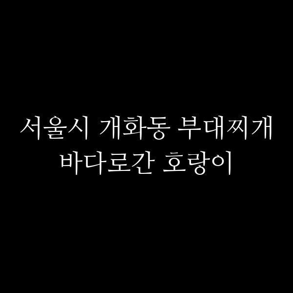 요약 정보 이미지