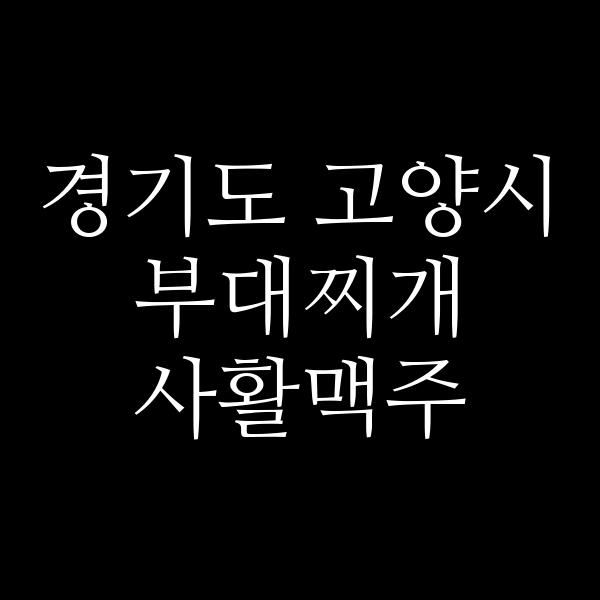 요약 정보 이미지