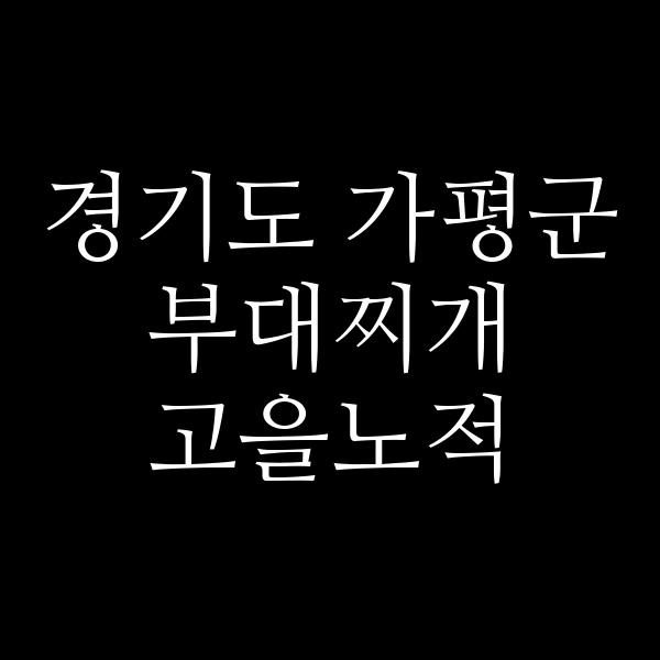 요약 정보 이미지