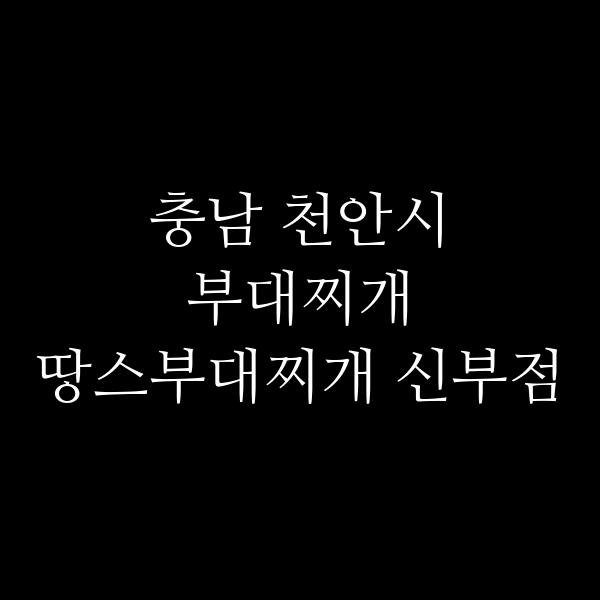 요약 정보 이미지