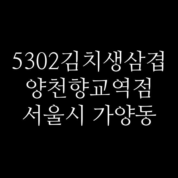 요약 정보 이미지
