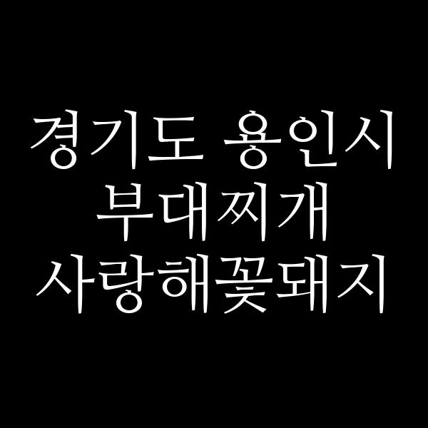 요약 정보 이미지