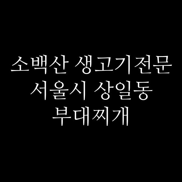 요약 정보 이미지