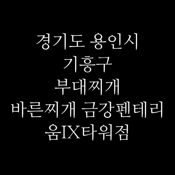 요약 정보 이미지