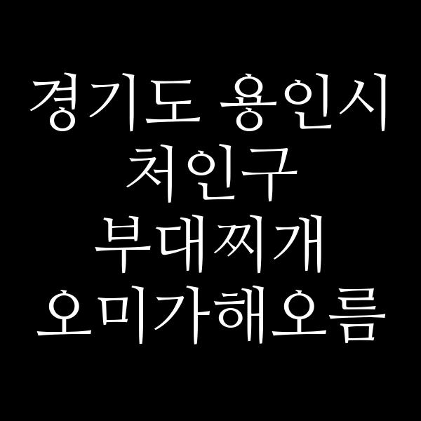요약 정보 이미지