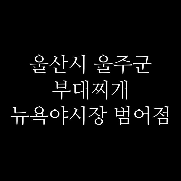 요약 정보 이미지