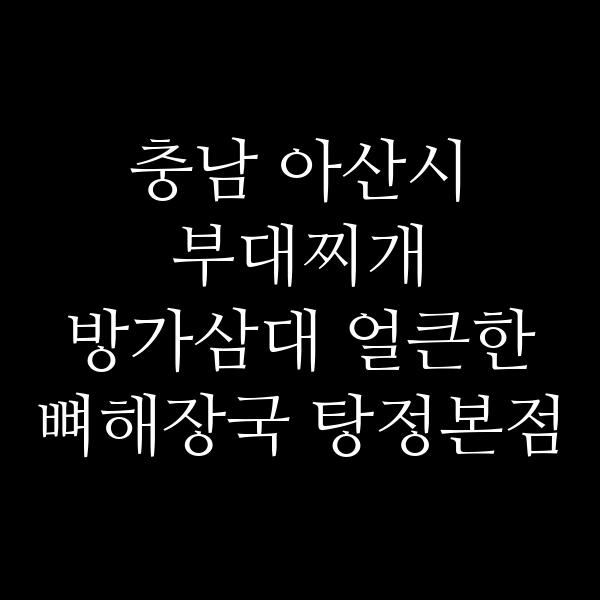 요약 정보 이미지