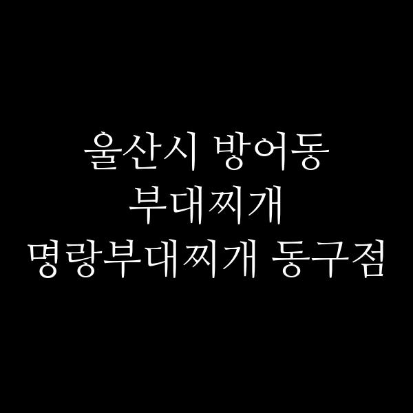 요약 정보 이미지