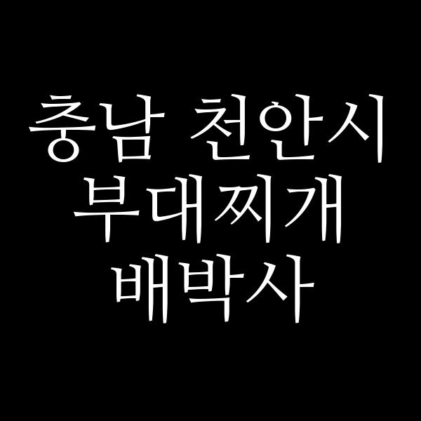 요약 정보 이미지