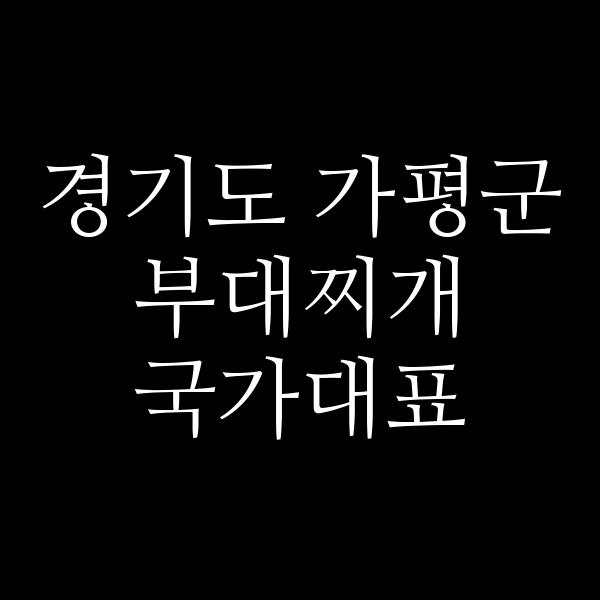 요약 정보 이미지