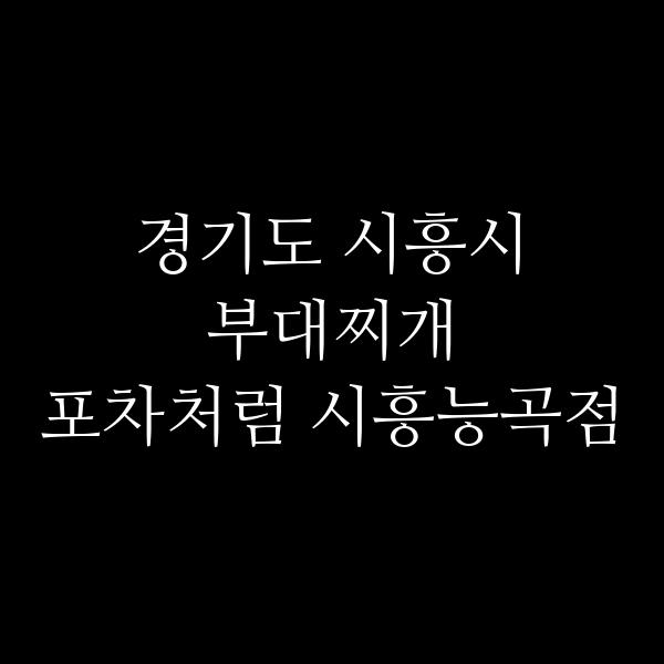 요약 정보 이미지