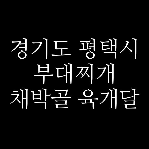 요약 정보 이미지