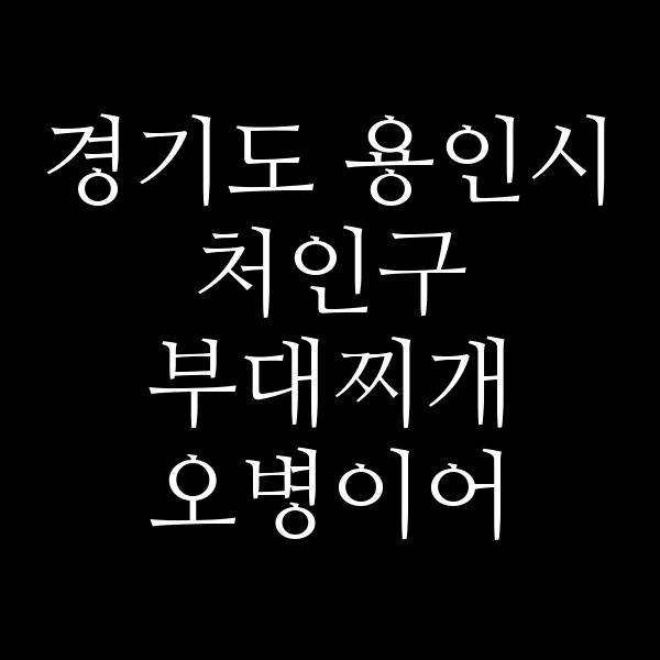 요약 정보 이미지