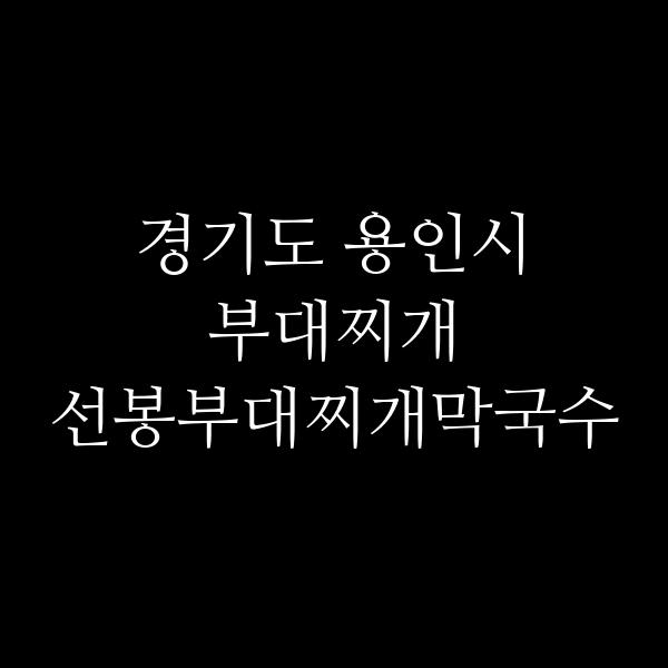 요약 정보 이미지