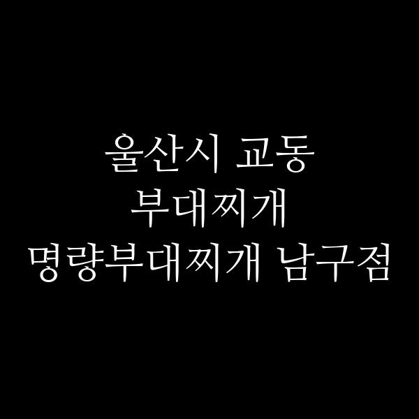 요약 정보 이미지