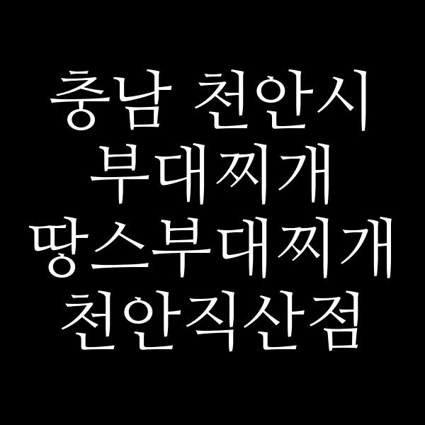 요약 정보 이미지