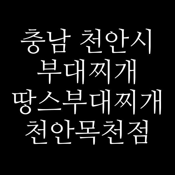 요약 정보 이미지