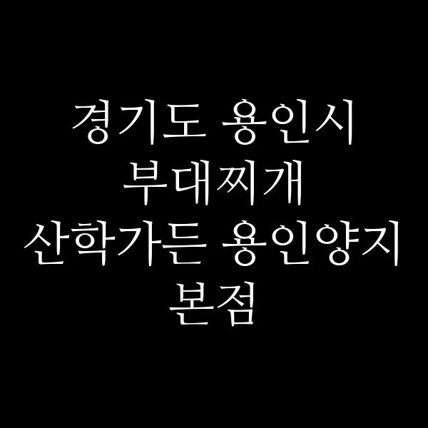 요약 정보 이미지