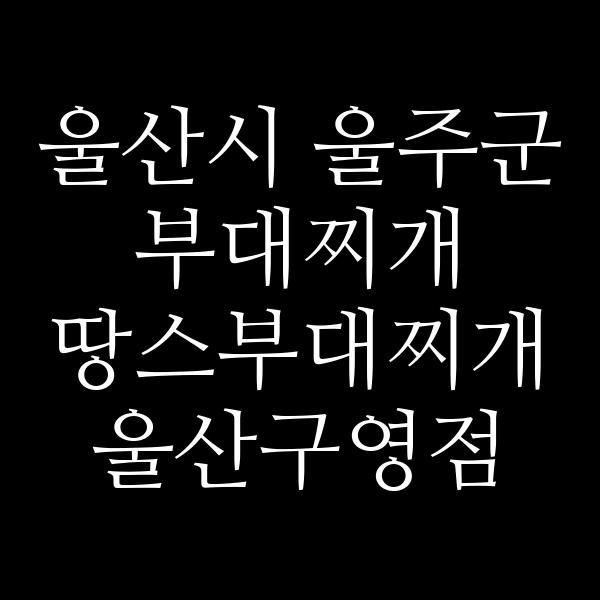 요약 정보 이미지