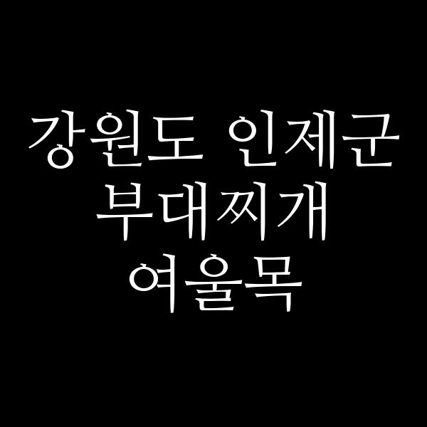 요약 정보 이미지
