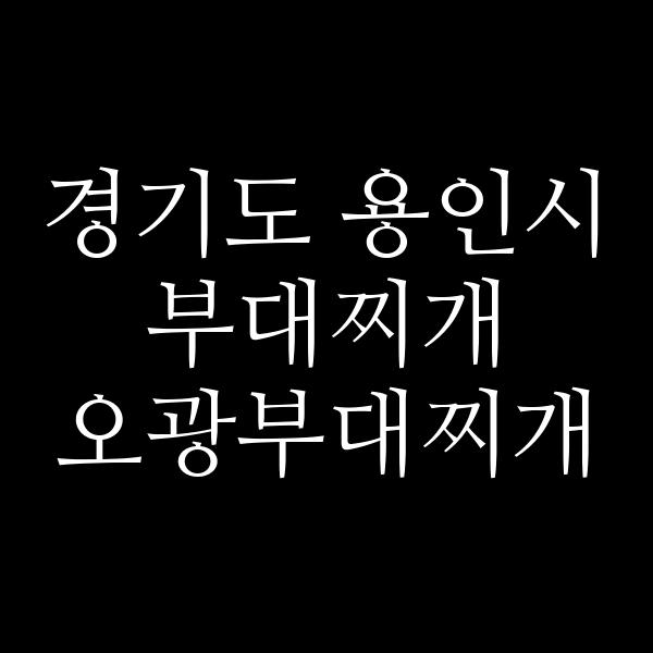 요약 정보 이미지