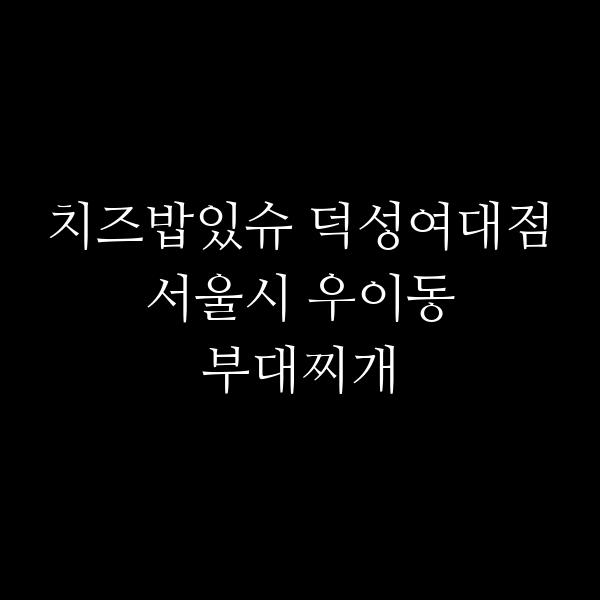 요약 정보 이미지