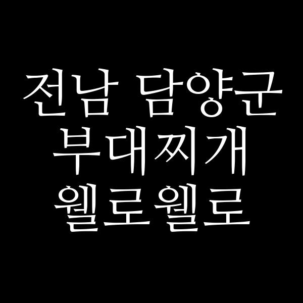 요약 정보 이미지