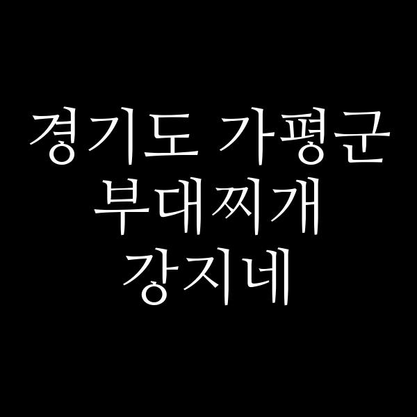 요약 정보 이미지
