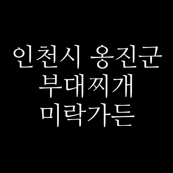 요약 정보 이미지