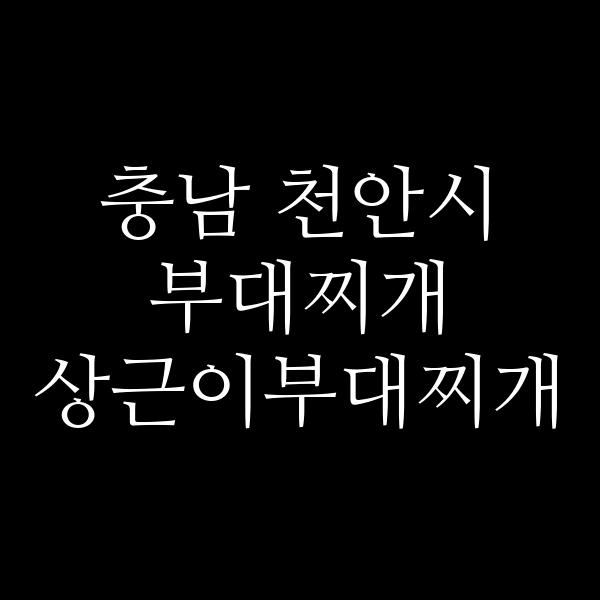 요약 정보 이미지