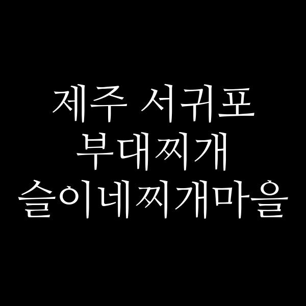 요약 정보 이미지