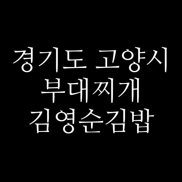 요약 정보 이미지