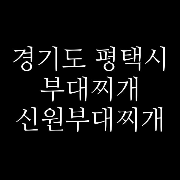 요약 정보 이미지